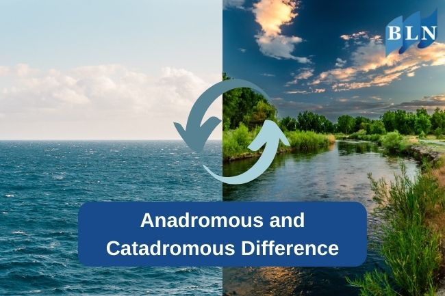 Anadromous and Catadromous Difference